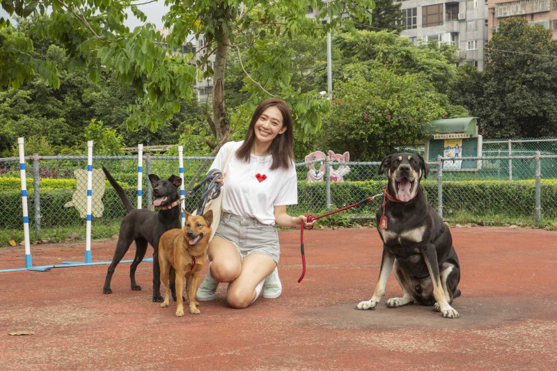 名模王心恬呼籲認養不棄養 自爆想去寵物諮商問毛孩幸不幸福